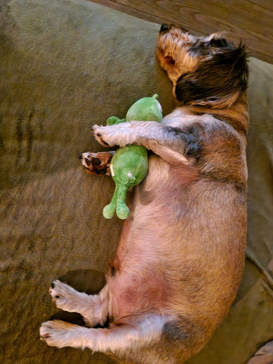 Sparki’s got a friend!
<a href="/sparkialien/">sparki</a> 
<a href="/myenergiuk/">myenergi</a> 
<a href="/JordeeBrompton/">Jordan Brompton</a>