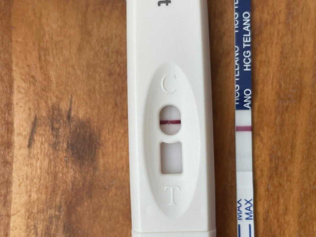 Lisa | UGC Creator tweet media