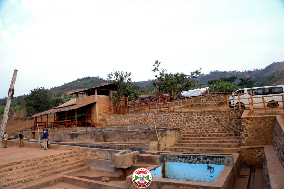 OmbudsmanBI's tweet image. Lundi 26/08/2024,journée consacrée par l'Ombudsman aux visites d'encouragement et de soutien des entrepreneurs dans la filière café,une culture de rente figurant dans les grandes priorités du @BurundiGov pour l'atteinte de la vision 2040-60.Elle a visité la Coopérative #GSCO.