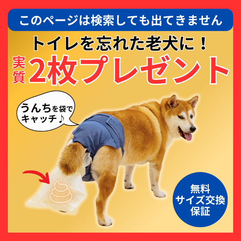 人気提案 楽天市場】【うんコロキャッチXSサイズ】うんちを