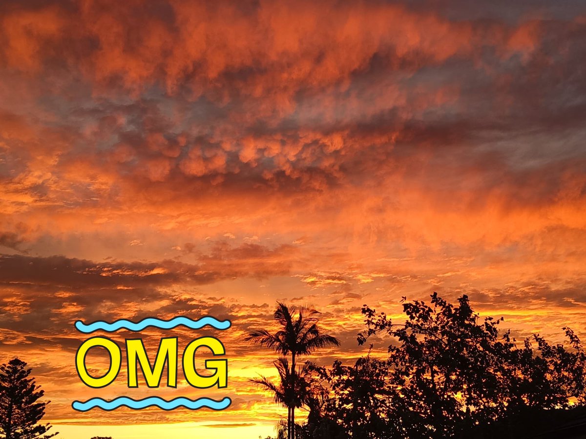 RaviDanthurty's tweet photo. #sunsetphotography  #Sydney 
#NatureBeauty
@sydney_sider @9NewsSyd @TimeOutSydney #spring round the corner https://t.co/KckF5EBJeD