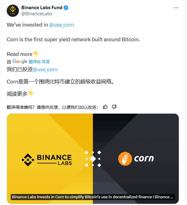 0xDoufu💢 tweet media