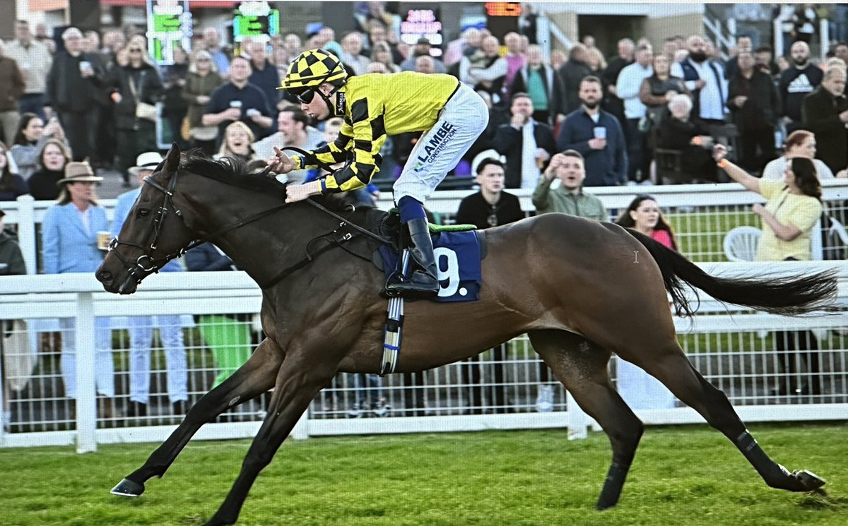 Newsells Park Stud (@newsellspark) on Twitter photo Congratulations to our WALDMARK SYNDICATE with an August Bank Holiday of winners - SHADOW DANCE <a href="/yorkracecourse/">York Racecourse</a> ZIPSTER <a href="/Southwell_Races/">Southwell Racecourse</a> #newsells Congratulations to our WALDMARK SYNDICATE with an August Bank Holiday of winners - SHADOW DANCE <a href="/yorkracecourse/">York Racecourse</a> ZIPSTER <a href="/Southwell_Races/">Southwell Racecourse</a> #newsells