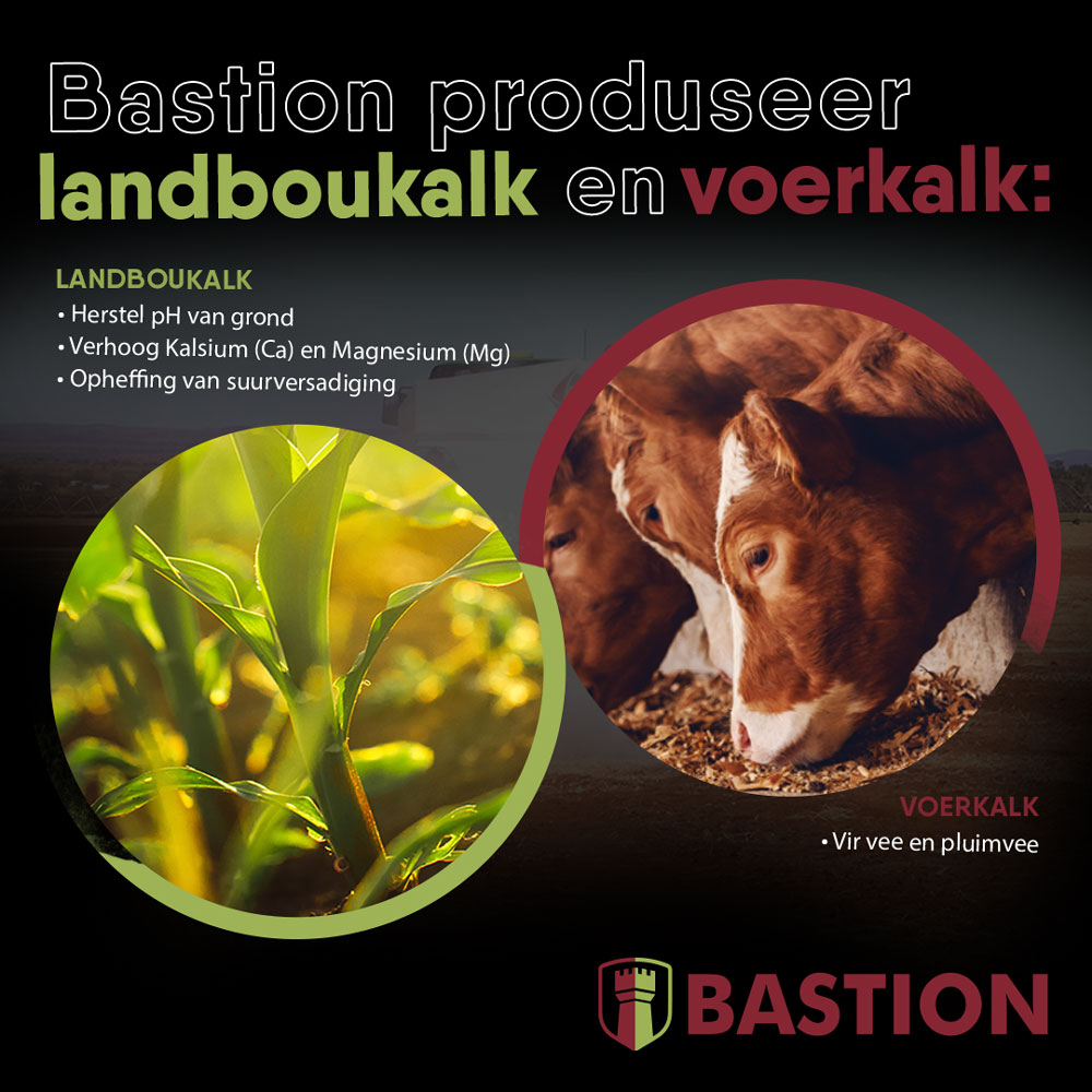 bastionlime's tweet photo. Opsoek na landboukalk of voerkalk? 👀
Bastion produseer albei! 😁
Kontak ons gerus by 018 464 7707 of stuur ŉ e-pos na sales@bastionlime.co.za.
#Bastion #Kalk #Landboukalk #Voerkalk https://t.co/15e3gOnFTC