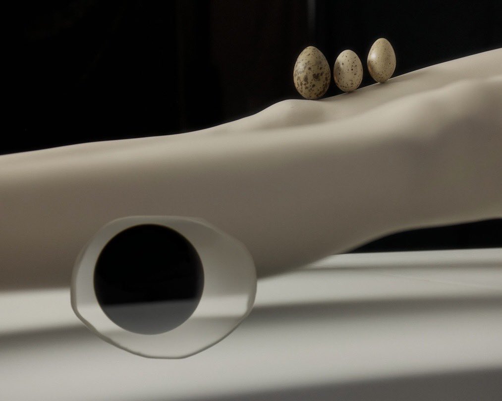 Tone Hole, 1981: Wildcat Edition