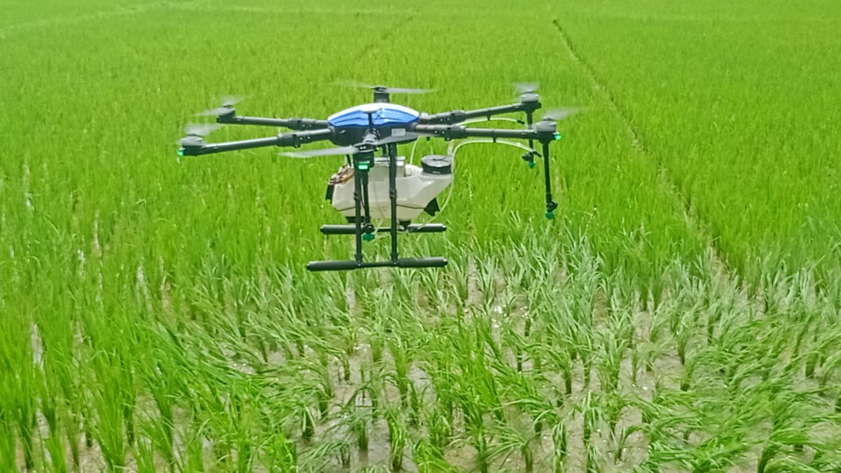 kjkrishimedia's tweet image. An exciting day at KVK Krishnagiri with the Krishi Jagran team! Witnessed an impressive drone demonstration in the paddy fields of Arsampetti, Tamil Nadu. Empowering farmers with the latest agri-tech innovations for a brighter future!

#krishijagran #agritech #dronefarming…