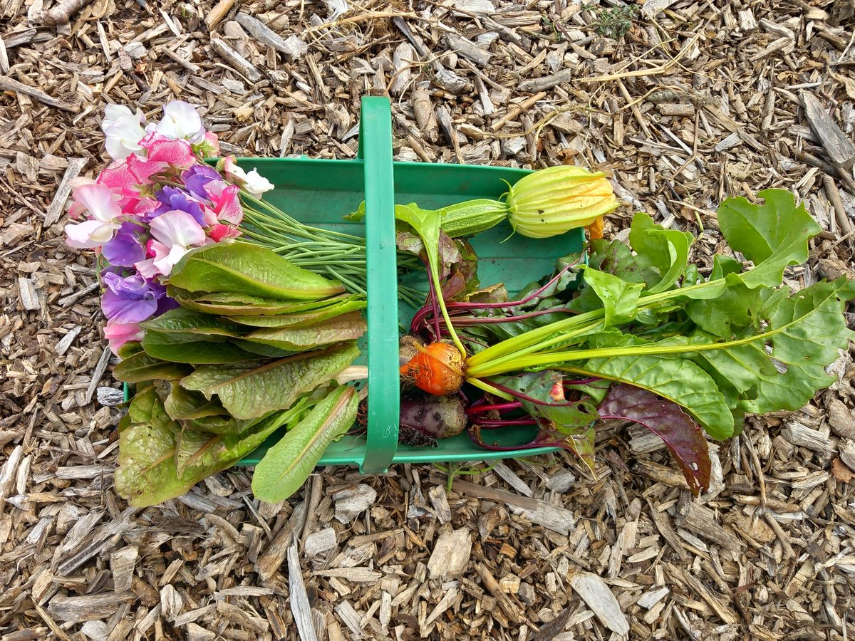 trezenara's tweet photo. Yesterday was a day on the allotment.
#Nurses
Active https://t.co/etLCH2zByV