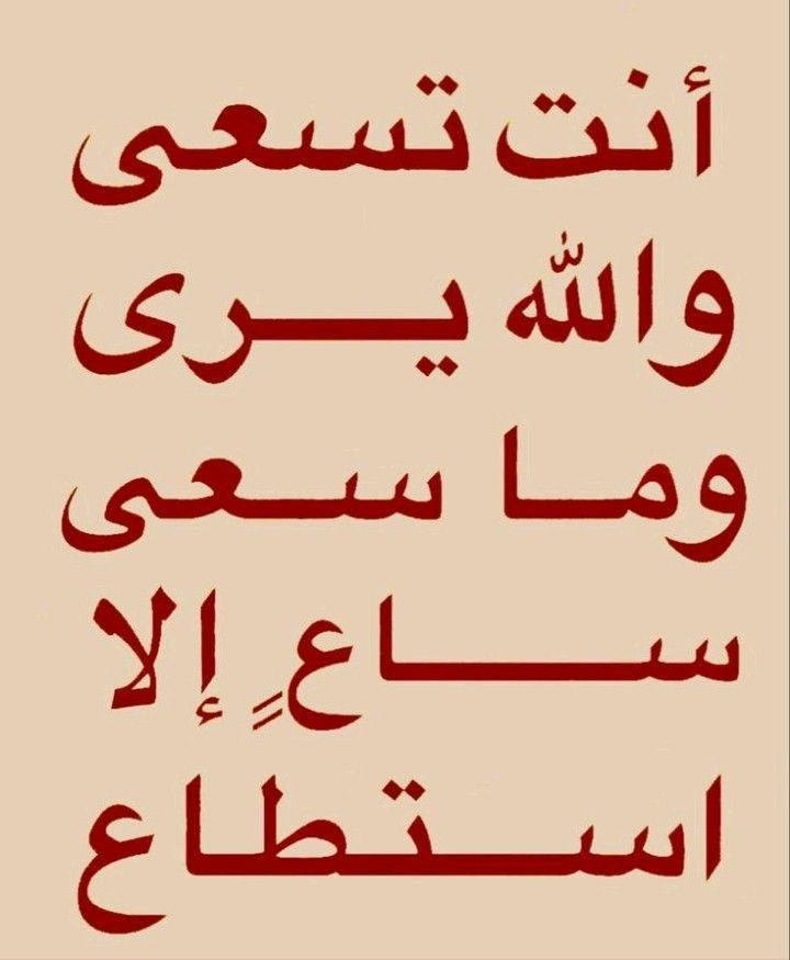 Mohamed Sayed (ret2flex) 🇵🇸 tweet media