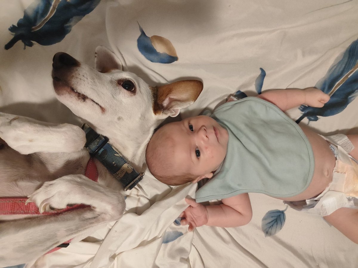 Pyly22's tweet image. Buenos días! Que tal vais? Nosotros hoy tenemos cositas para hacer ❤️ #GoodDay