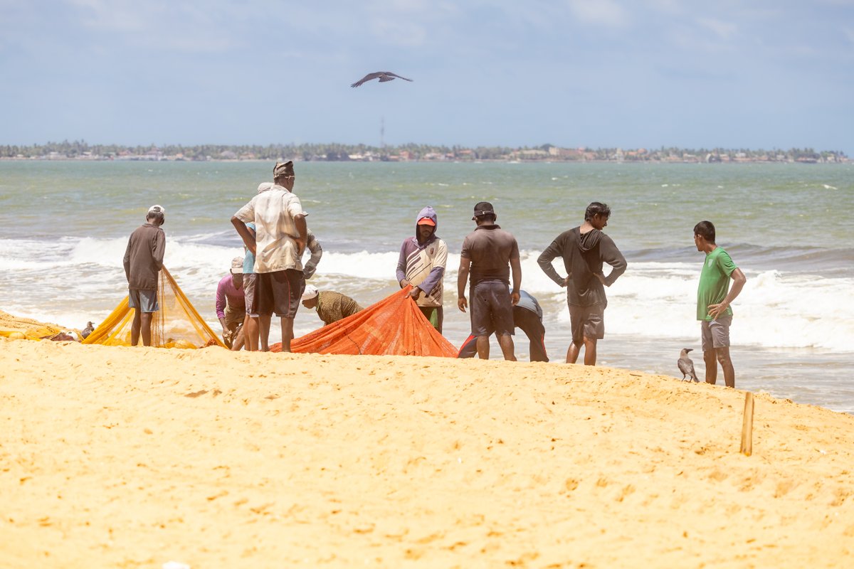 1Candy1Man's tweet photo. Last day on Negombo beach for a few months, with my 650 mm I got some interesting shots - not all good. https://t.co/pYfKZYWlWn