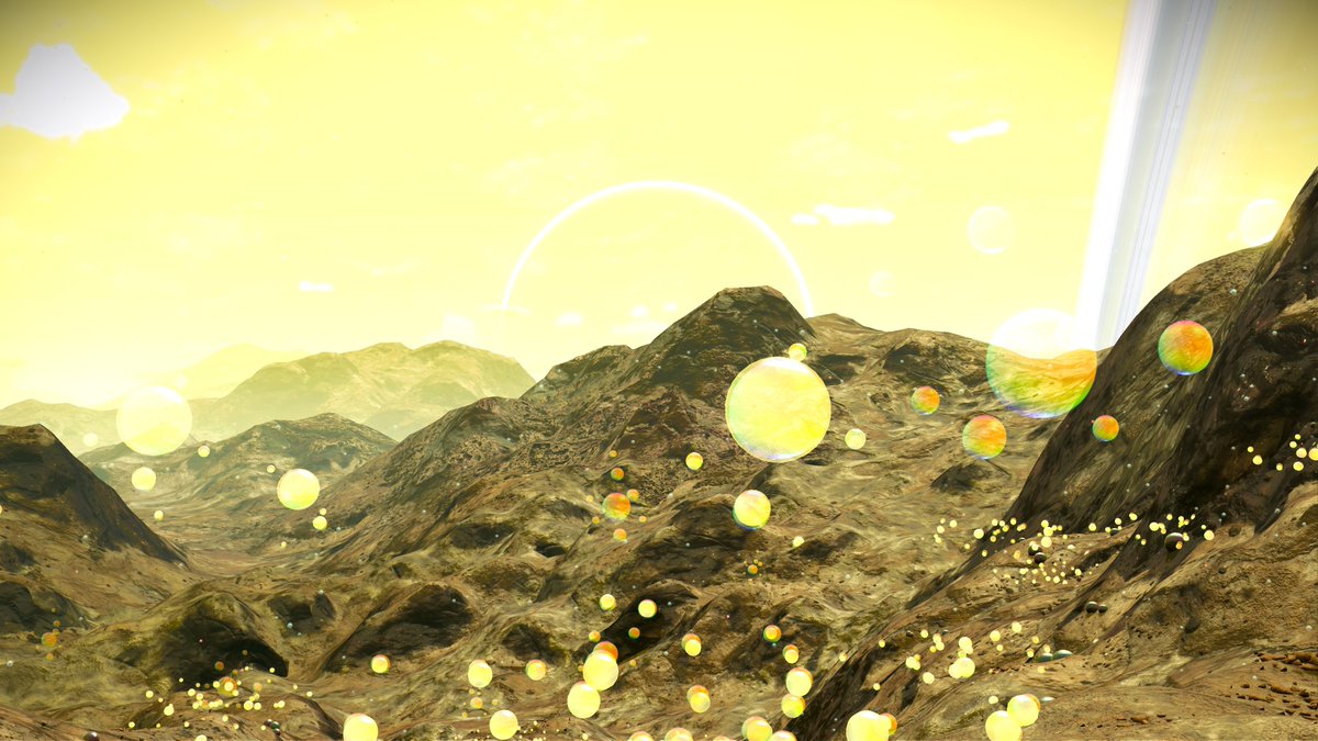 Melt van Aarde tweet media