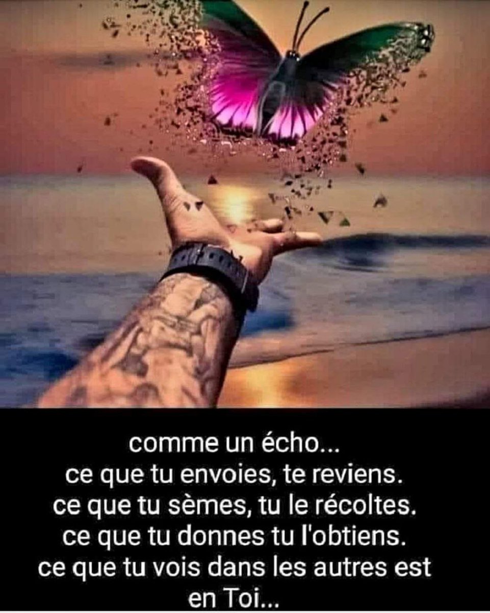 patrakage's tweet photo. @xgarreau https://t.co/8M6l4kbL8M