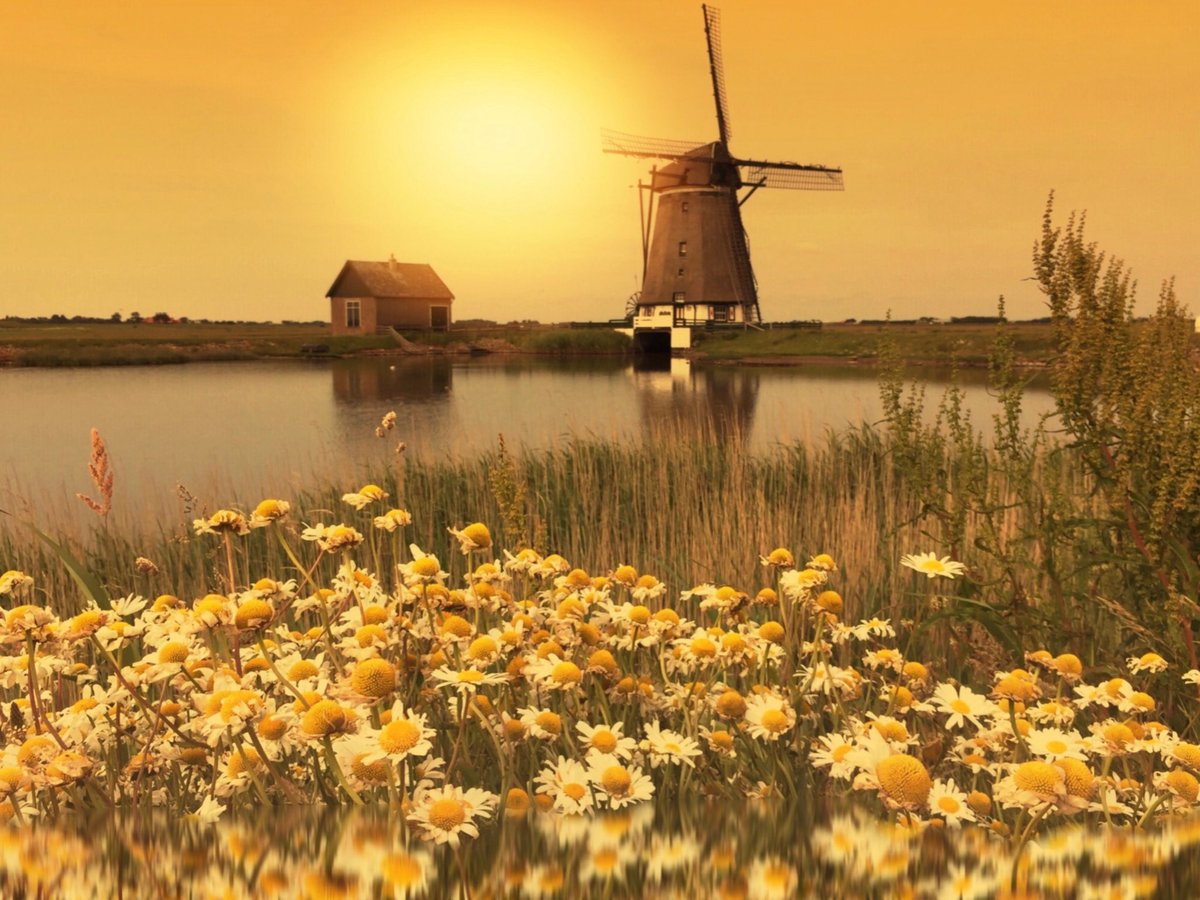 𝕃𝕚𝕤𝕖𝕥𝕥𝕖 𝕋𝕙𝕖𝕚𝕛𝕤𝕤𝕖𝕟 tweet media