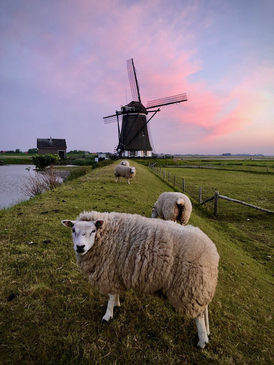 𝕃𝕚𝕤𝕖𝕥𝕥𝕖 𝕋𝕙𝕖𝕚𝕛𝕤𝕤𝕖𝕟 tweet media