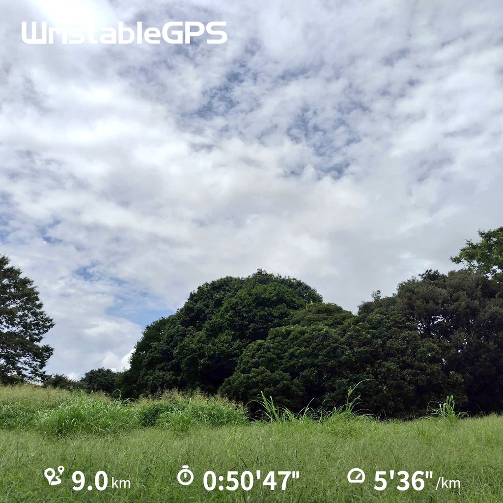 texas_blues_man's tweet photo. #50過ぎの親父が肉体改造に挑戦してみたら
9.0㎞ 50'47" 5'36"/㎞
E~M走
低い雲が南から北へどんどん流れて時々土砂降りのシャワーラン
1200㎞以上離れた場所に影響をもたらす台風10号って“どんだけ~☝️”
心拍数 46(安静時)
体温 36.0℃
#ランニング
#ジョギング
#Age56 https://t.co/e6fn0qLHUr