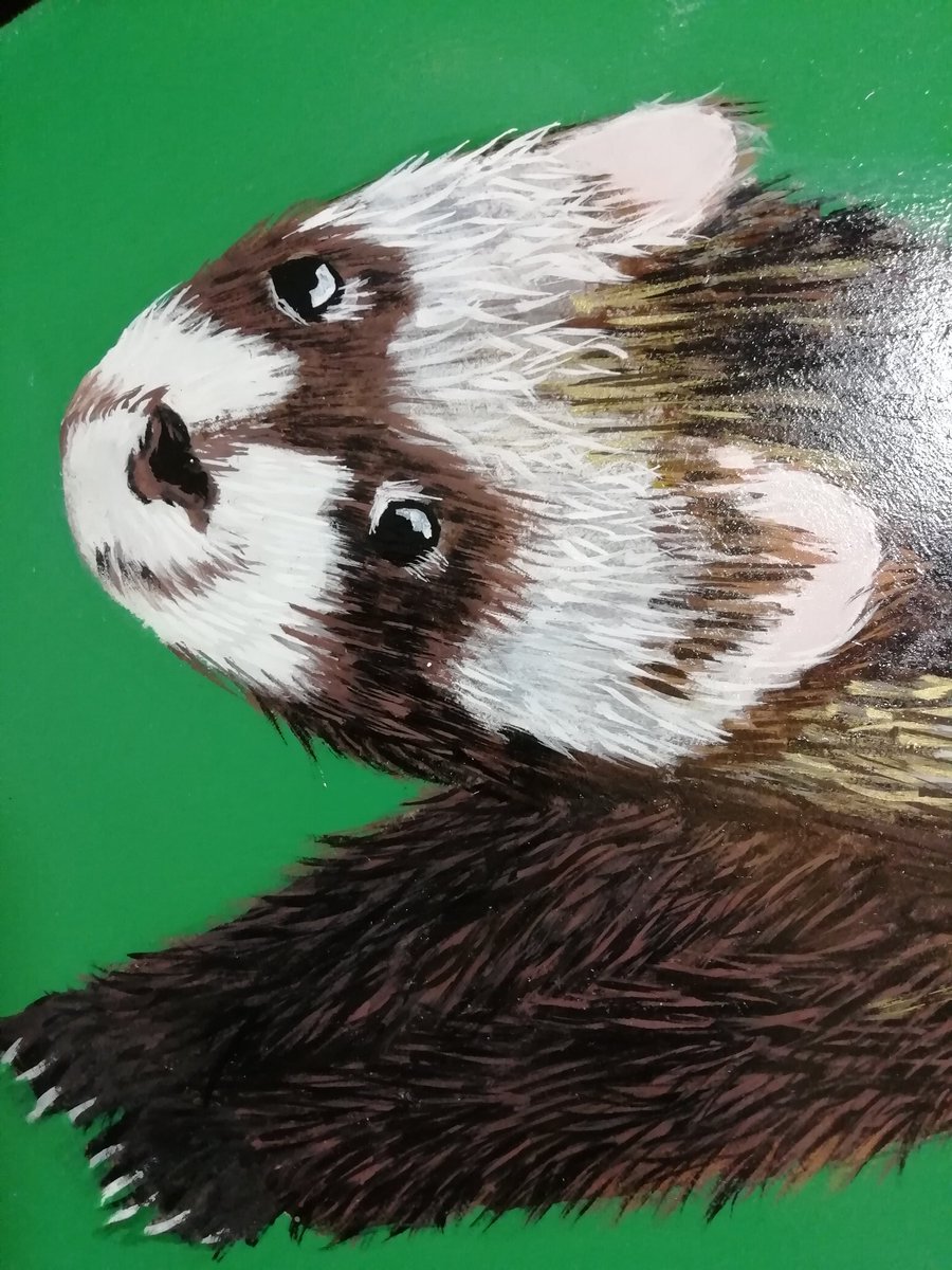 MackayArts's tweet photo. Usually in August I get to work outside on art and biodiversity projects but Scotland won't stop RAINING!! My neighbour has promised to bring back the sun from Poland but until then I'm inside working on Scottish mammals and plans for this terms kids classes #artist #biodiversity https://t.co/cHMeqJLIoO
