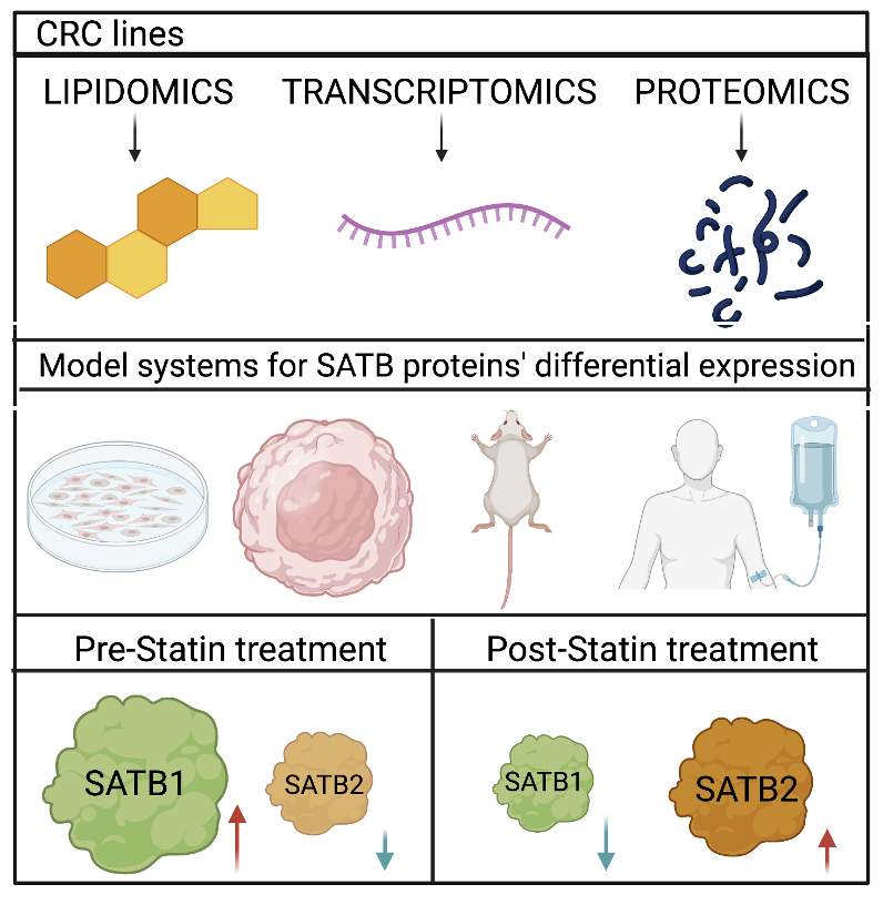 Sanjeev Galande (@sanjeevsaga) on Twitter photo Delighted to present our new findings providing direct evidence for anti-cancer property of statins using a multi-omics approach. We show a significant correlation between statins and tumor suppressive phenotype in colorectal cancer. <a href="/SnehaTripathi28/">Sneha.Tripathi</a> @ektagupta41 <a href="/KamatLab_IISER/">Siddhesh Kamat</a> Delighted to present our new findings providing direct evidence for anti-cancer property of statins using a multi-omics approach. We show a significant correlation between statins and tumor suppressive phenotype in colorectal cancer. <a href="/SnehaTripathi28/">Sneha.Tripathi</a> @ektagupta41 <a href="/KamatLab_IISER/">Siddhesh Kamat</a>