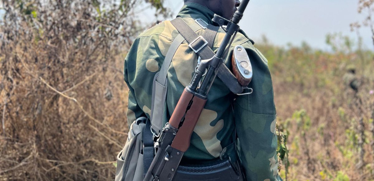 KabaLisolo1's tweet image. 𝗟𝗜𝗦𝗔𝗡𝗚𝗔 | #Goma : Sima ya kobotola mosolo mwa cambiste moko na bala bala #Majengo o etando ya #Karisimbi, soda moko abeti masasi mpe abomi moto moko, azokisi moto mosusu, mokolo mwa yambo ya mposo oyo. 

Nzoka nde, ye abetaki masasi tango ba ike bazalaki kolanda ye na