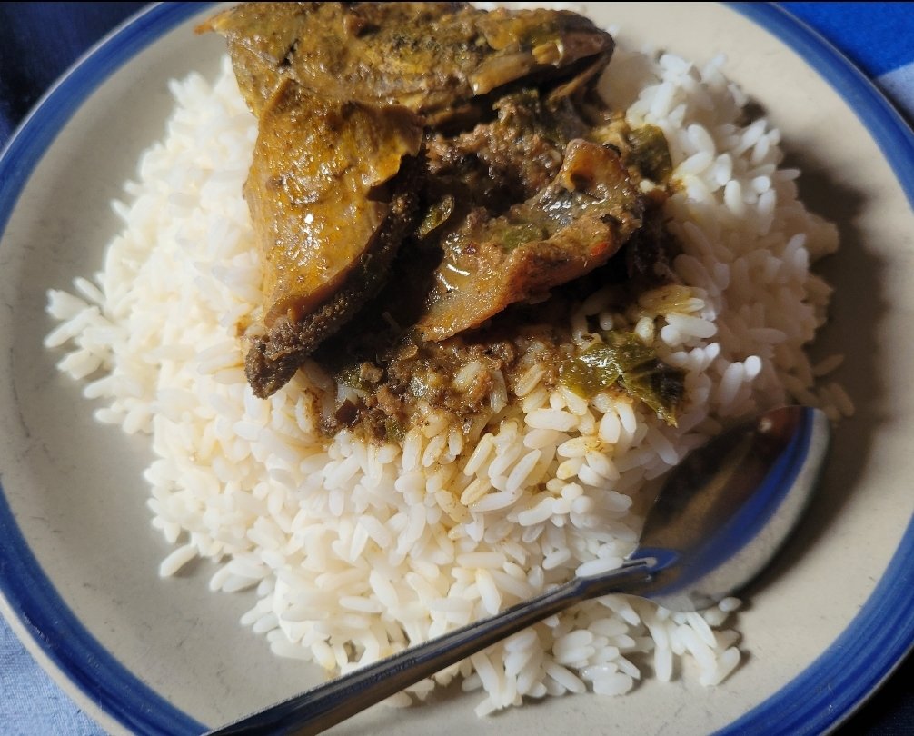 Daniel Regha tweet media