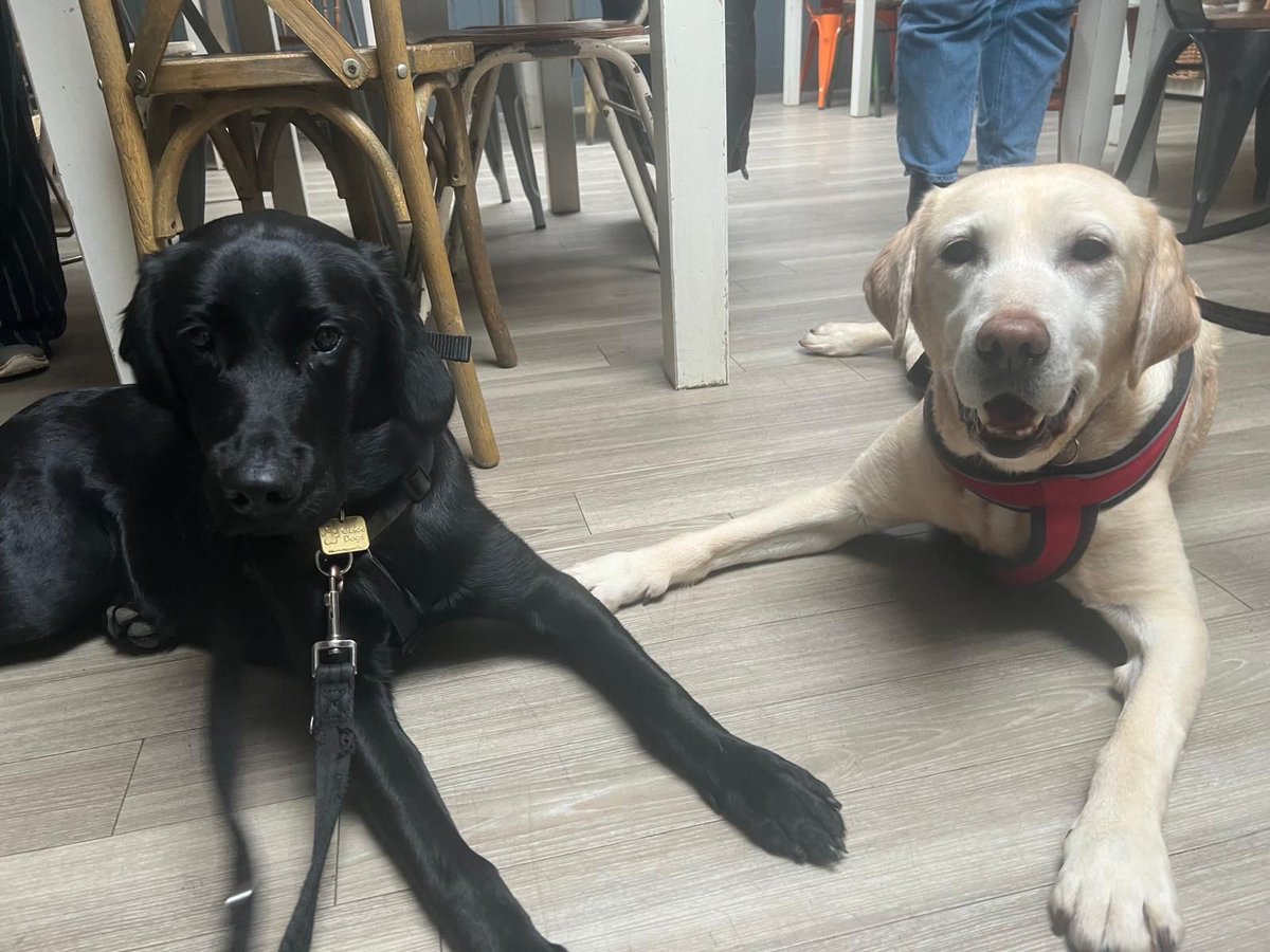 The day was finally here! I got to meet baby Lassie. THe <a href="/guidedogs/">Guide Dogs</a> puppy that mummy and I named after me. We raised 10k to do this. It was awesome. I got to play with baby Me &amp; told her all she needs to know to be a pawsome guide dog when she's old enough!.