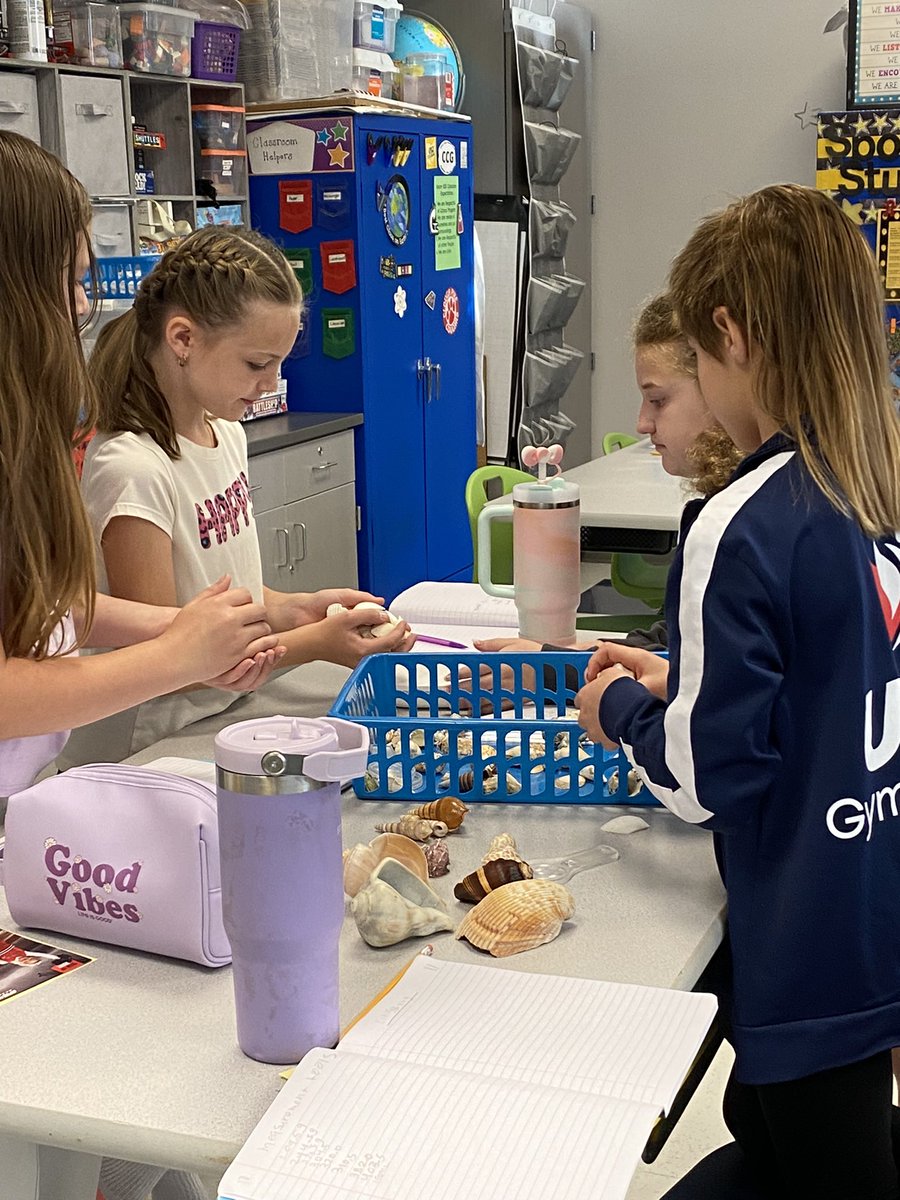 Fifth grade Science students <a href="/CloughPikeElem/">Clough Pike</a> used the Science Process skill of classifying. They discovered they had to observe in order to classify.