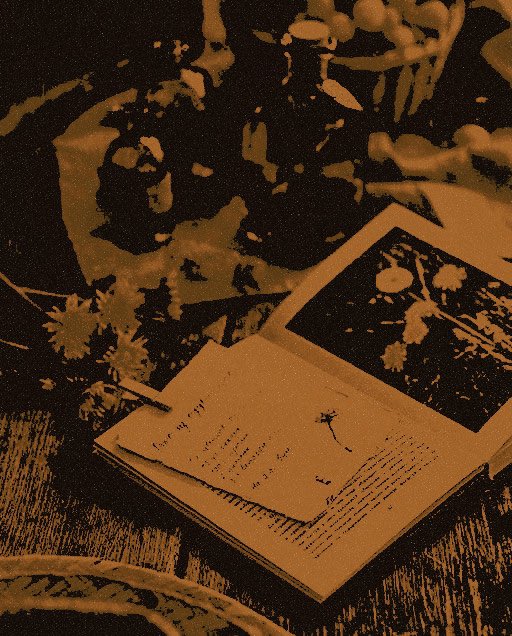 ⠀⠀ ⠀⠀ ⠀⠀ ⠀⠀

⠀⠀ ⠀      ⠀ 𝐂𝐄𝐃𝐑𝐈𝐂  𝐃𝐈𝐆𝐆𝐎𝐑𝐘.

                         ( HPRP. MDNI. ) ⠀⠀

⠀