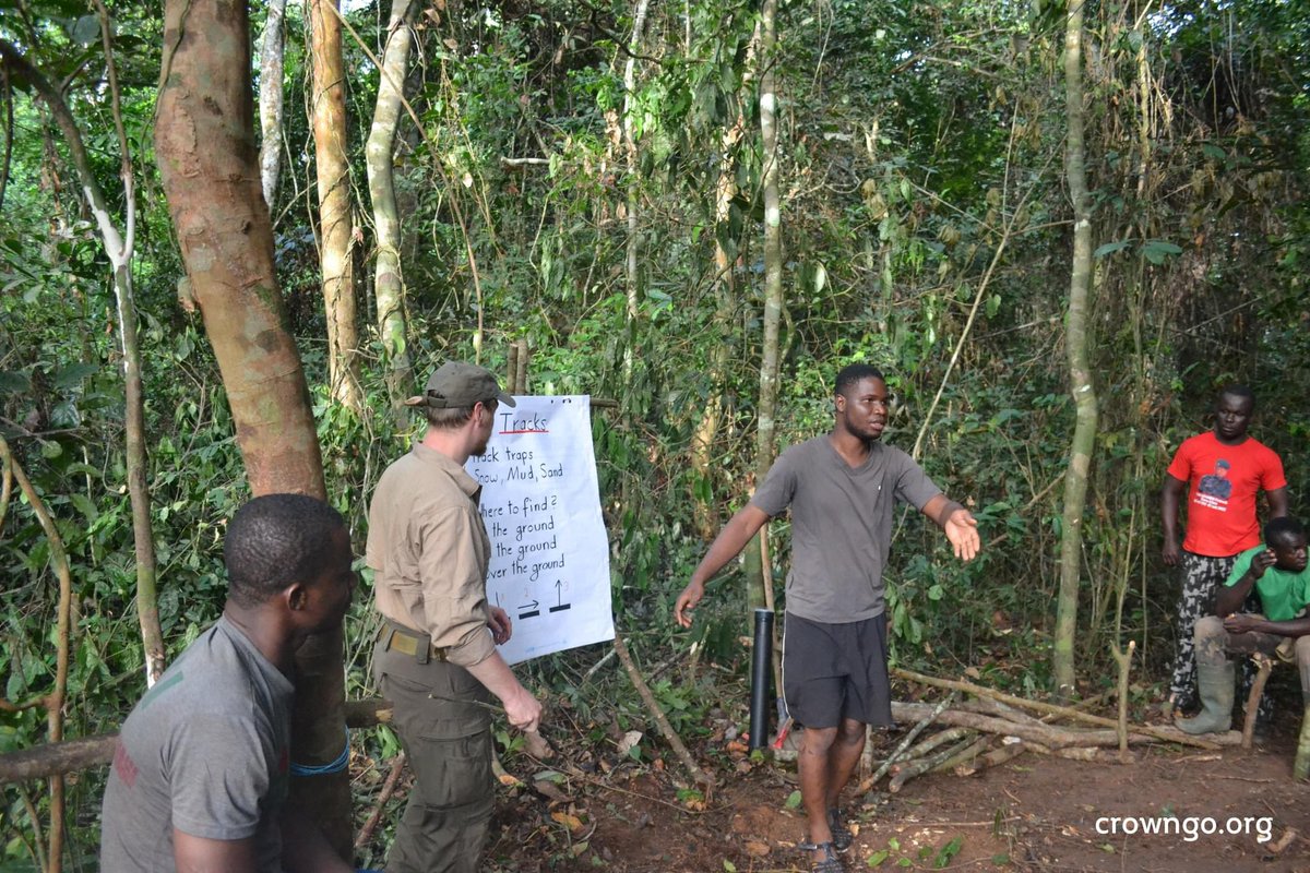 Anti-poaching rangers like <a href="/CROWRangers/">Conservation Rangers Operations Worldwide</a> operate in some of the most remote and challenging environments on the planet. 

One of the most significant challenges they face is the threat posed by armed poachers.

Their work requires not just physical endurance and courage, but also