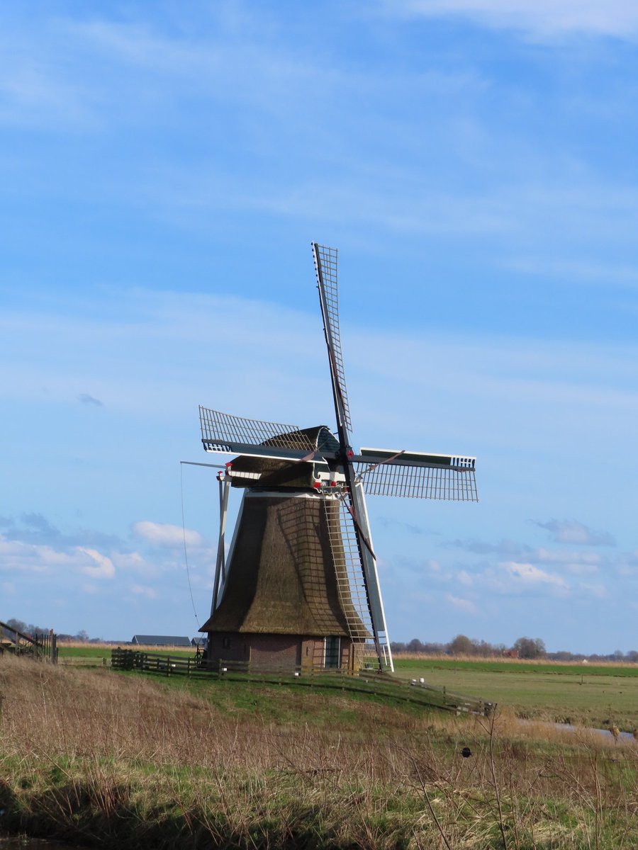 YvonneGrevelink's tweet photo. #beau_gustus
#molens
@dthta57
Dit is de #molen bij de #Waldwei. https://t.co/XTD44GX4cf
