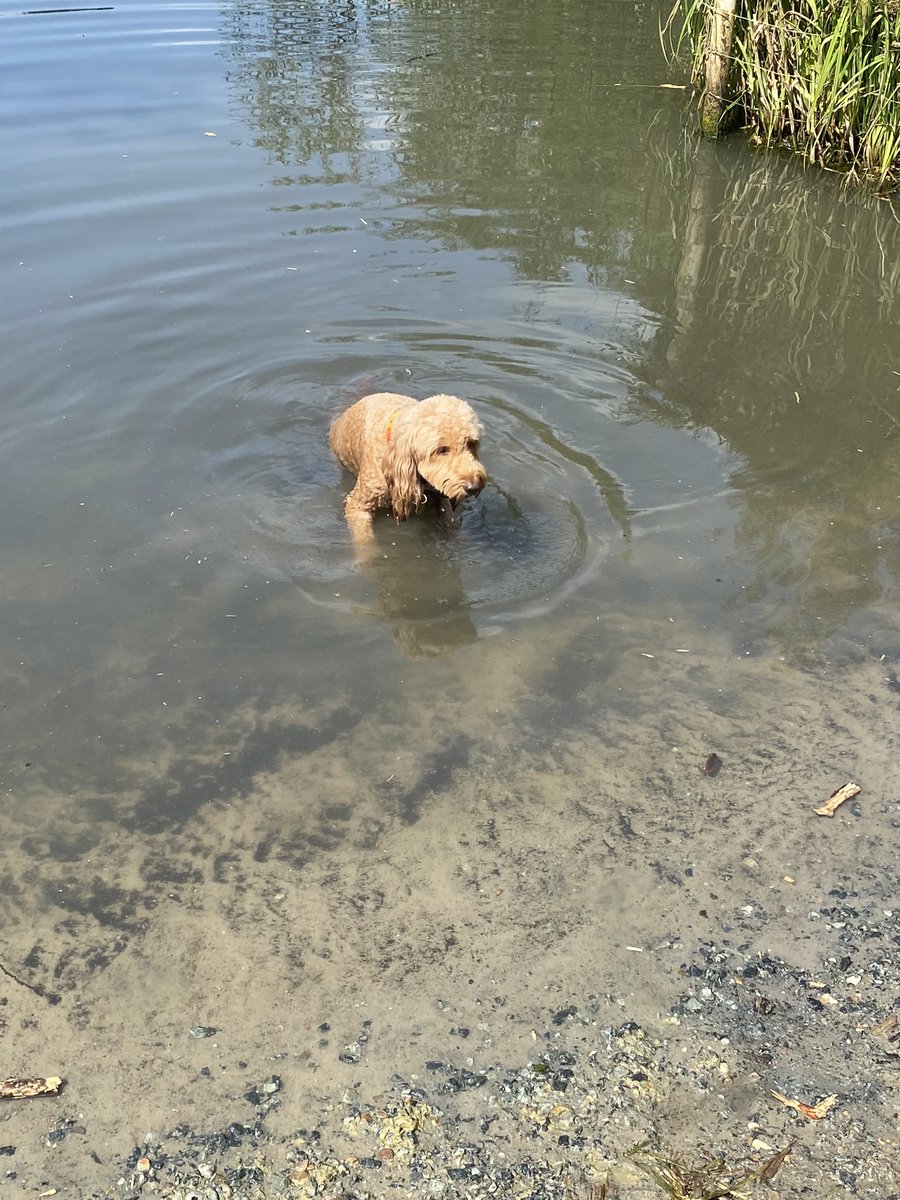 Nic Keaney 💀 (@nickeaney) on Twitter photo 