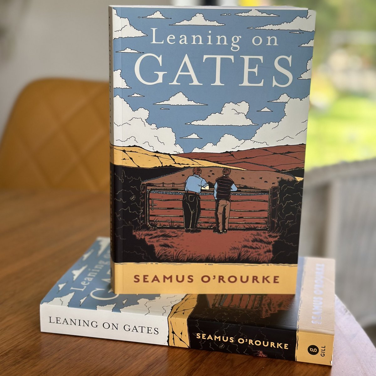 seamus_orourke's tweet photo. Published by @Gill_Books - available from Sept 12th. https://t.co/5NpSb0htoy