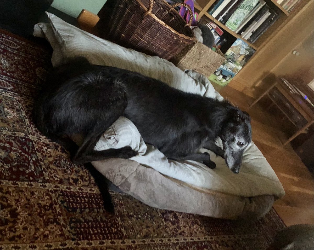 elsie spindlehound © and Tess tweet media