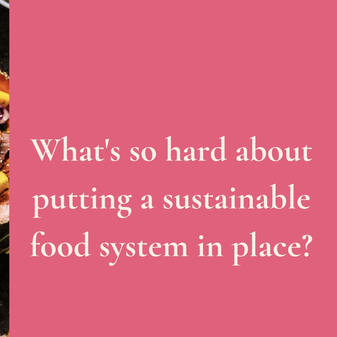 Urban Future. tweet media