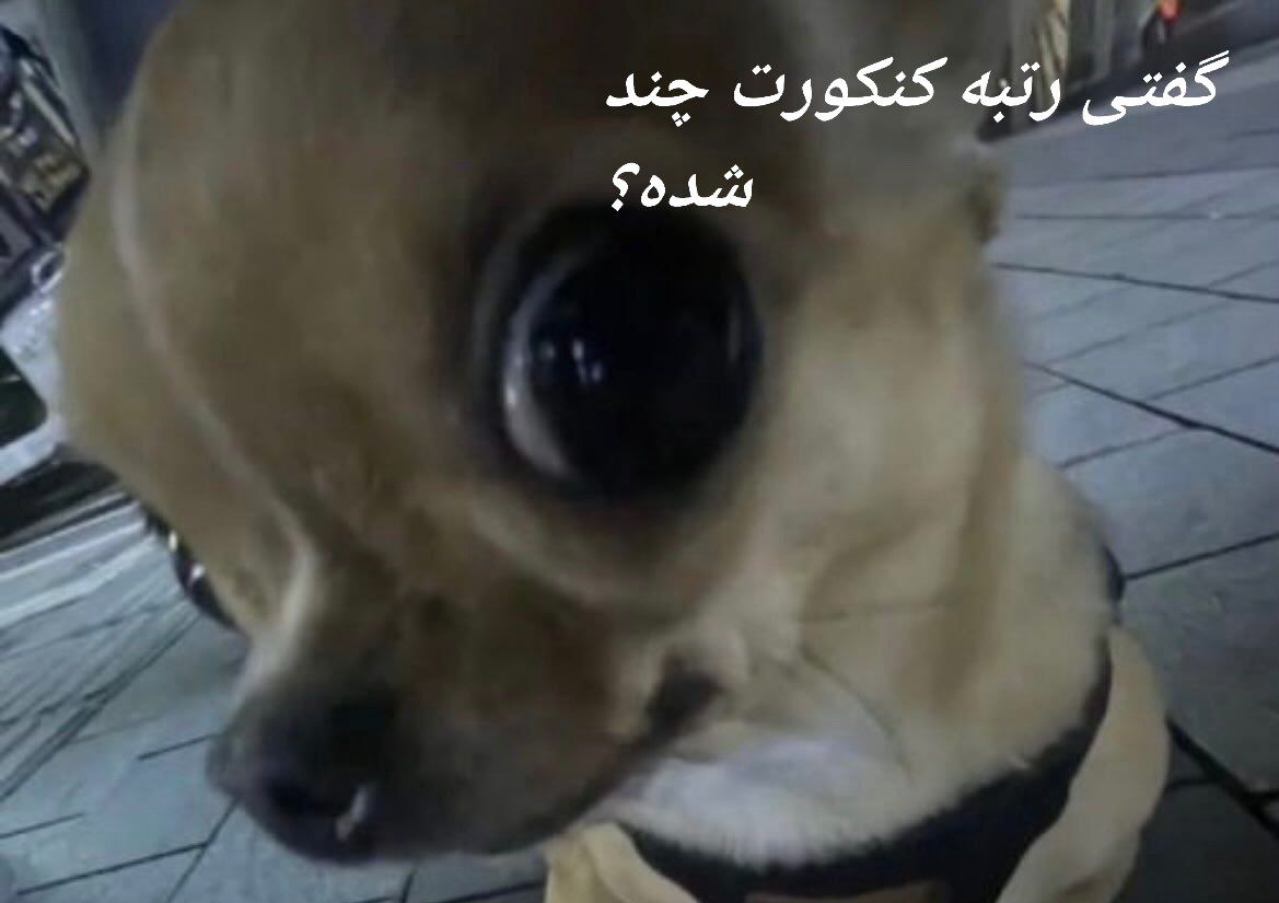 😂🤦🏻‍♀️