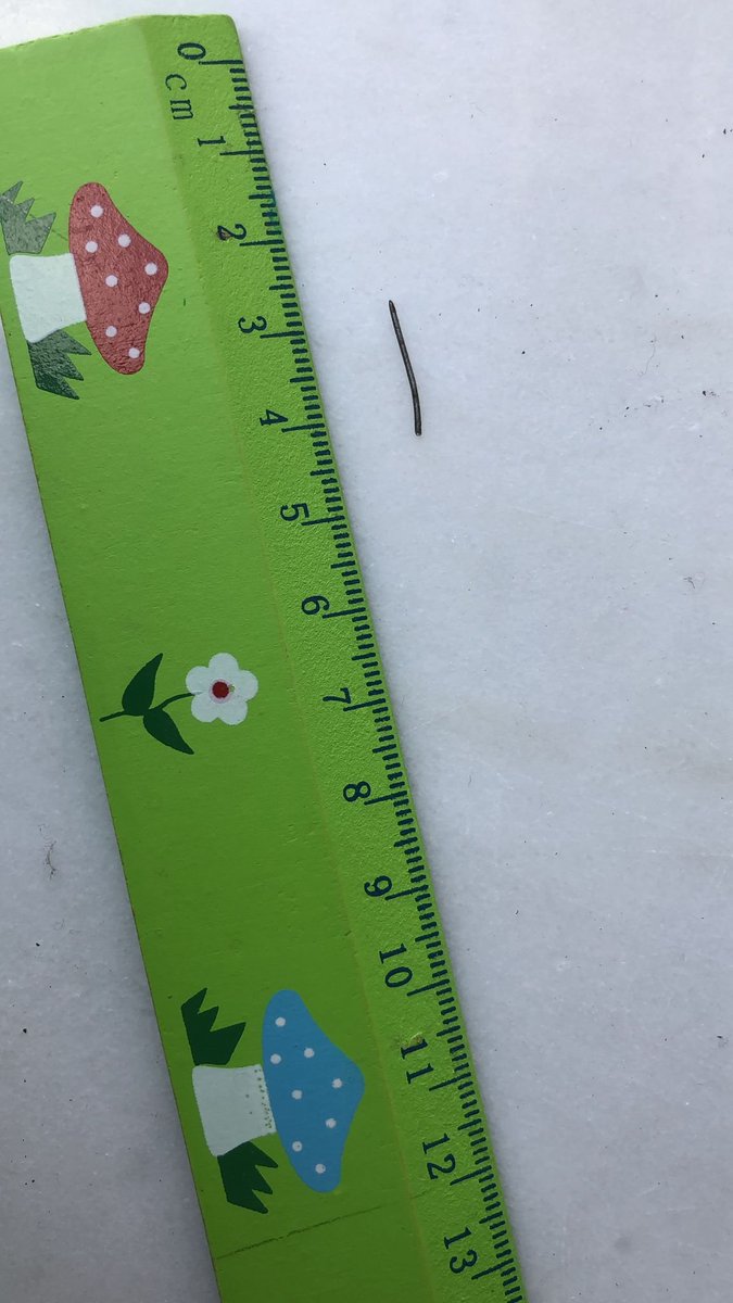 Het regent lekke banden in Smallingerland na "borsteltijd" van de gemeente. Lange vlijmscherpe stalen naalden blijven achter en zijn een ramp voor fietsbanden. Bij de Omrin kun je kosten van nieuwe band vergoed krijgen, mits claim is voorzien van nota en ‘bewijs’ (foto).