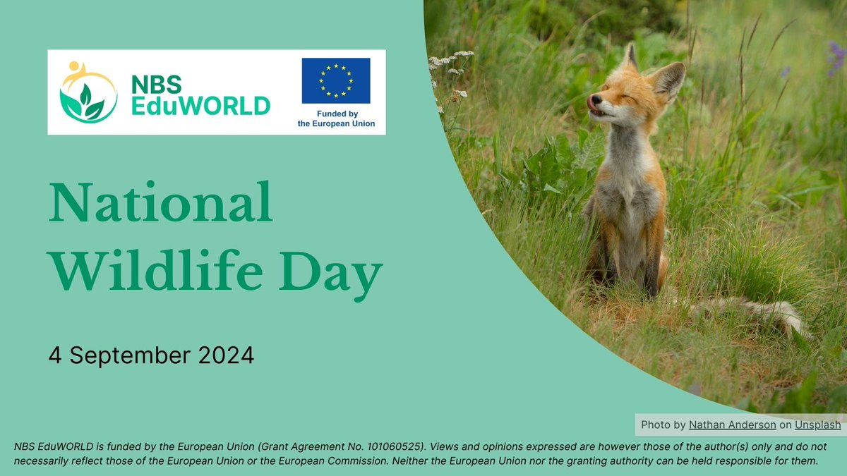 It’s #NationalWildlifeDay 2024! 🌍🦋 At NBS EduWORLD, we believe in the #powerofyouth and education to protect our #wildlife. Through NBS Living Labs, students are stepping up as environmental stewards. 🌱🐾What will you do today to protect nature? 🌿