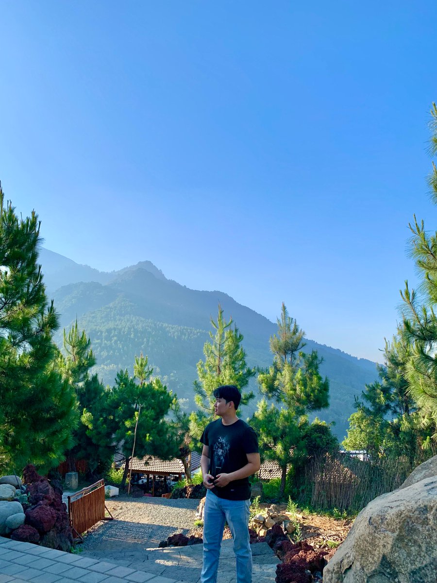 hiban_gm's tweet photo. On view🌿🌿 https://t.co/l927A266NC