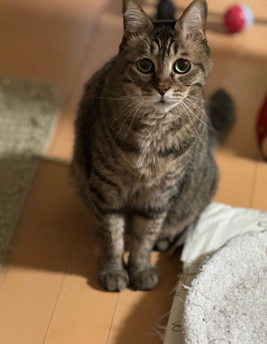 なんかこの写真ツボw