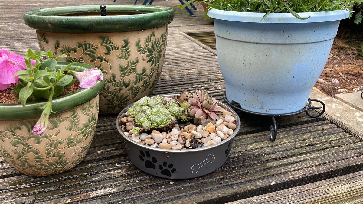 Tributes come in all shapes and sizes. A member of our staff sadly lost their beloved dog last month and the family made this simple tribute to him, using his water bowl. What a beautiful way to keep him in their hearts. #Pets #Tribute