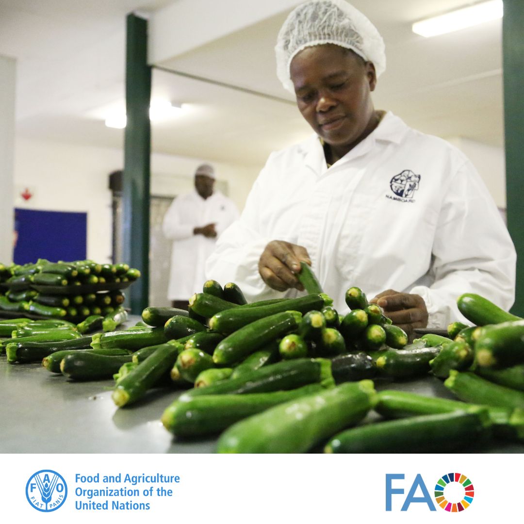 Achieving sustainable #agrifoodsystems means empowering women to lead in agriculture, ensuring access to nutritious food, and fostering sustainable livelihoods.

When women thrive, communities flourish, paving the way for a healthier, more resilient future for all.