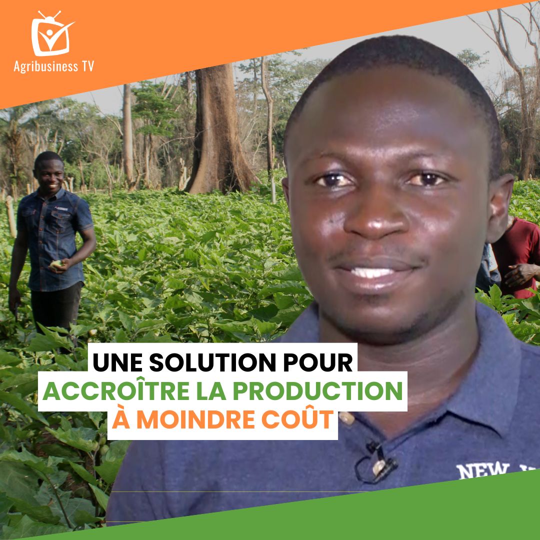 Laurent KOFFI veut, à travers « Green Agro Valley », apporter des solutions innovantes aux #agriculteurs en matière de système d'#irrigation. 💧👨🏽‍🌾🌾

➡️ youtu.be/SfZrcdSb9iw 

#AgribusinessTV #CôtedIvoire