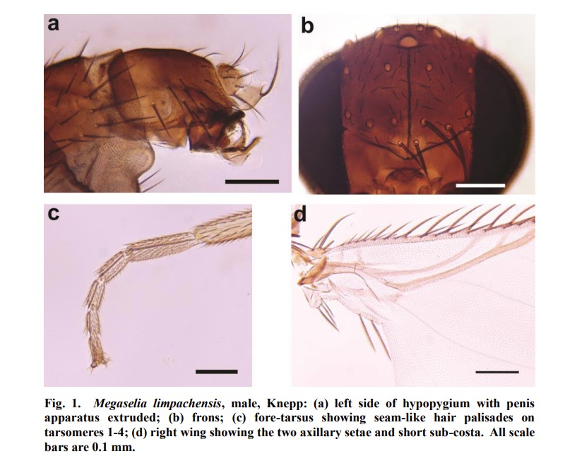 Opwall Science tweet media