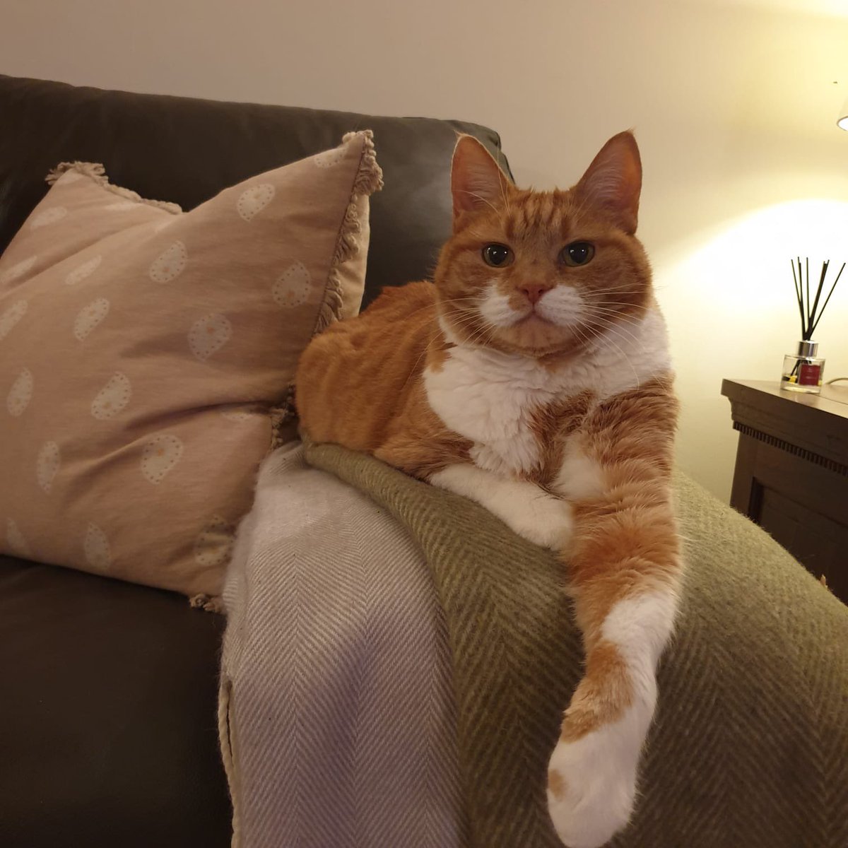 Citizens Advice Hart tweet media