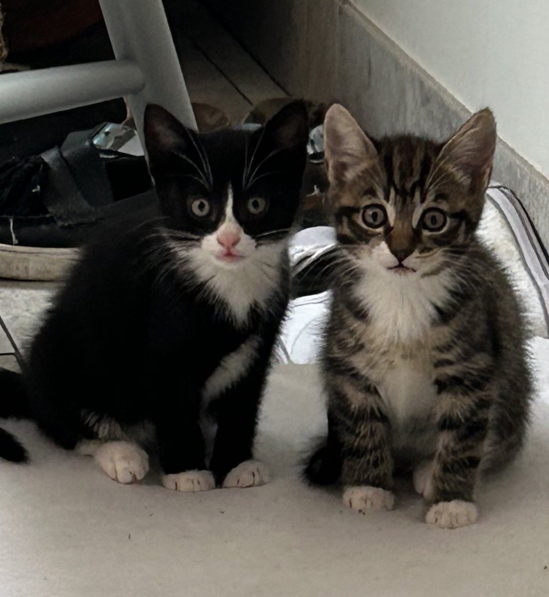 Citizens Advice Hart tweet media