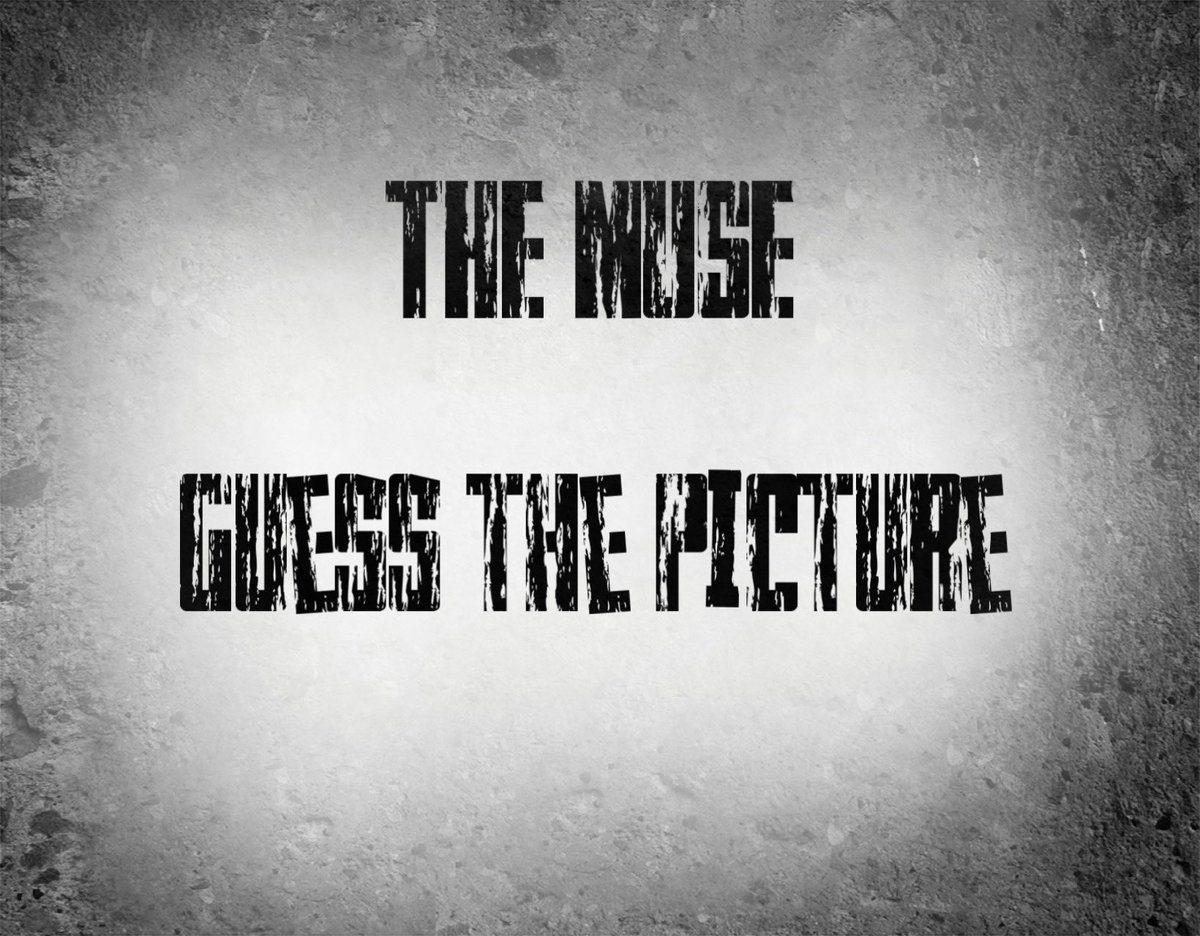 The Muse. tweet media