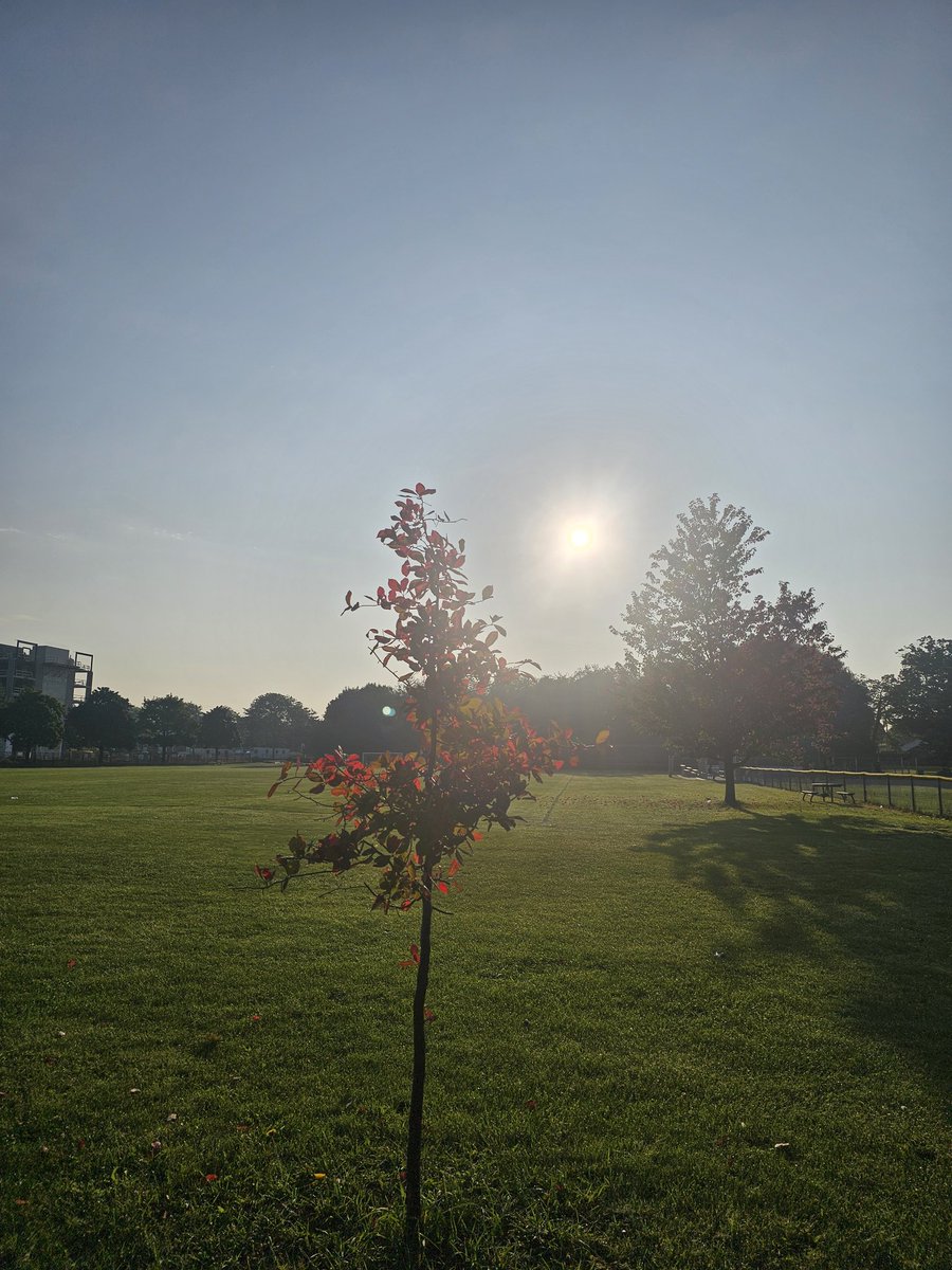 PauletteKarges's tweet photo. It's a beautiful sunny Sunday morning. https://t.co/39Y18X0HyZ