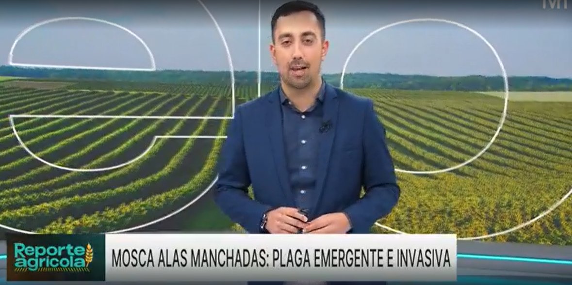 TVN's tweet photo. 👋 ¡Buenos días! Estamos viendo un nuevo capítulo de #ReporteAgrícola en TVN con
@jiatenas
📷Sigue la señal en vivo: https://t.co/XYEkJadpbI https://t.co/oRFbDE3JJ9