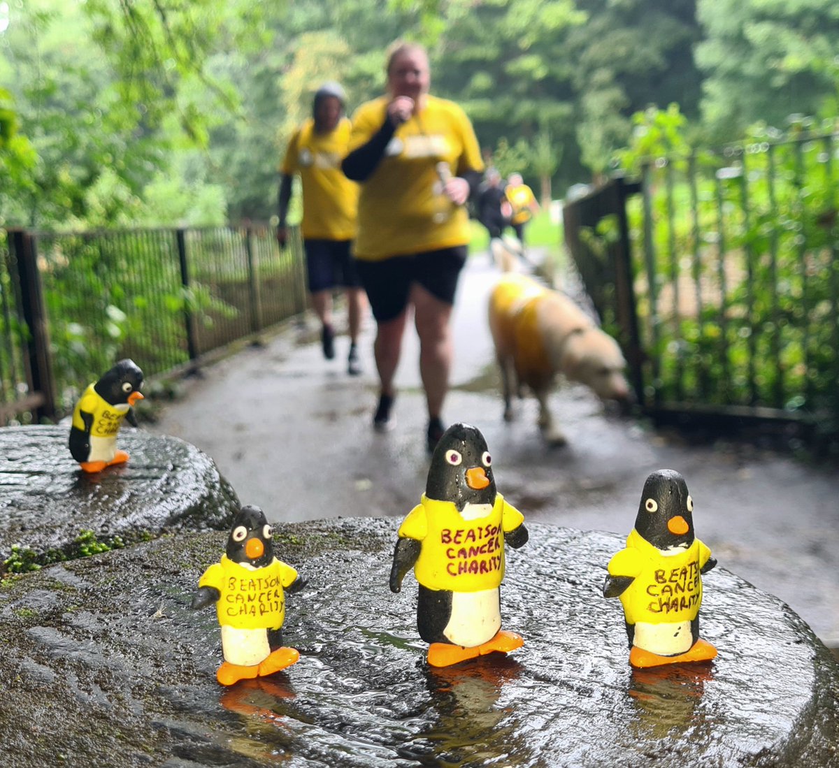GlasgowPenguins's tweet photo. We thought we'd do the Off The Beatson Track charity walk as a family this year. The rest of us were fine, but I don't think Dad's as fit as he thinks he is!
You can donate to the Beatson Cancer Charity here: https://t.co/SZYkuZFHVl
#glasgow @Beatson_Charity
#glasgowtoday https://t.co/O5NeTJo3oV