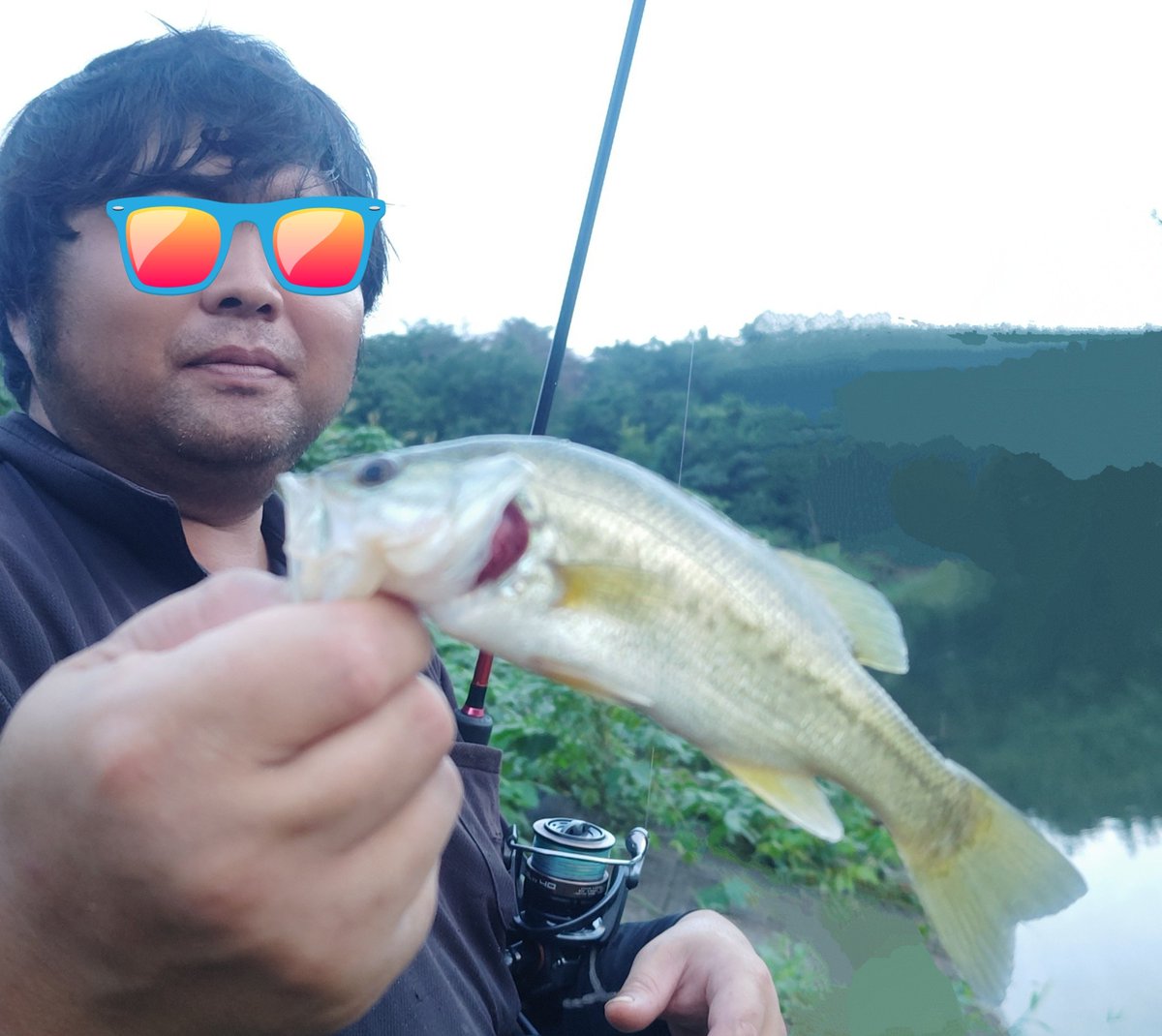 ozaki_garyu's tweet photo. ロッド:FIDELITY PLIABLE68UL
ルアー:ミノー
2日続けて仕事帰りの癒やしの釣り
昨日3匹、今日2匹
蓑さんも本日Dr.ミノーで4匹
2人共トップで反応あるも出ないので、蓑さんにミノーの釣りを伝授😂見事に釣り負けました〜
#PR #フィデリティー #FIDELITY #PLIABLE68ul #プライアブル68UL
#ミノー https://t.co/biyjFJyse7