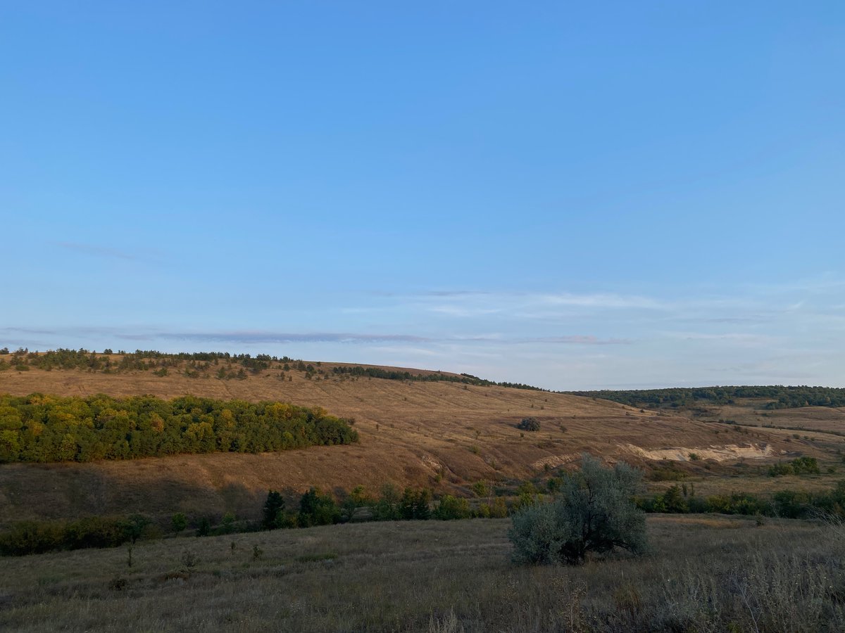 rayewarrrd's tweet photo. steppes my beloved (yes i've been climbing hills again) https://t.co/hWFaTdvREY