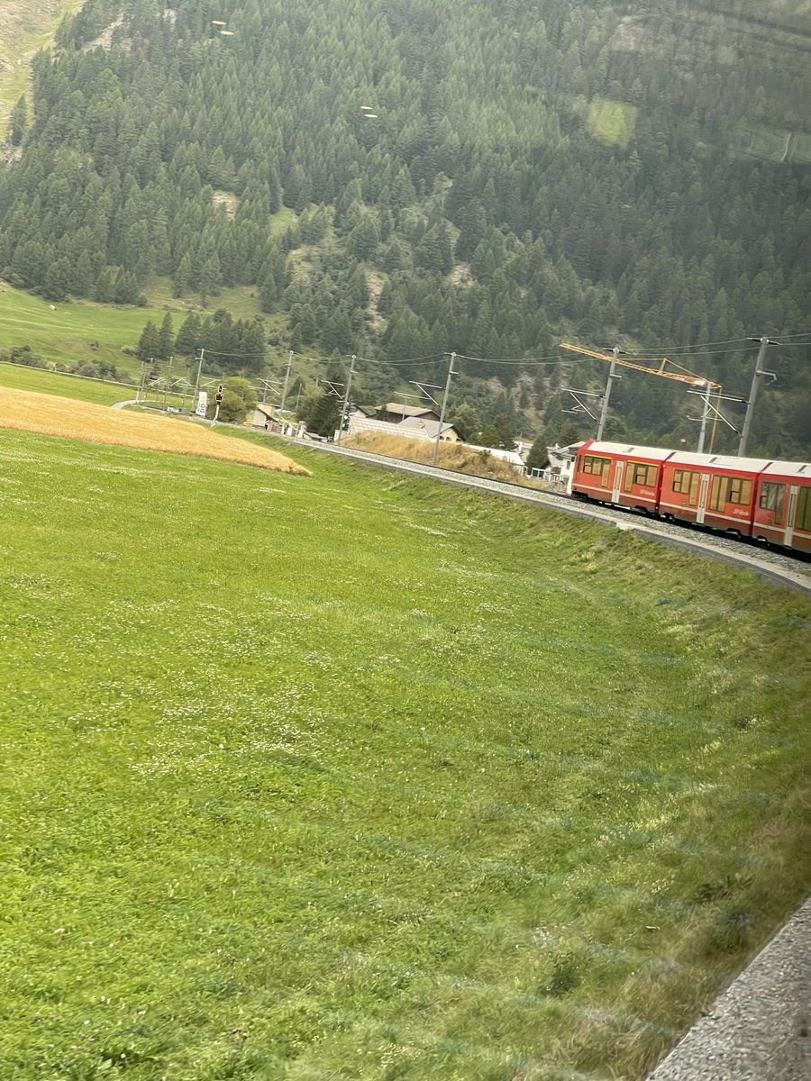 redtestwine's tweet photo. รู้ว่ารถไฟสายนี้จะ คดไปโคงมา เลยพยายามนั่งตู้หลังๆ เพื่อบรรยากาศนี้จริงๆ
#Susch #Switzerland https://t.co/gHzIV0RCXz